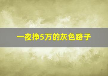 一夜挣5万的灰色路子