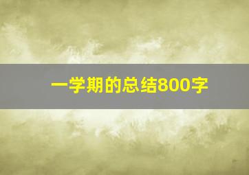 一学期的总结800字