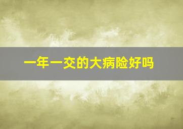 一年一交的大病险好吗