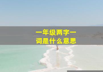 一年级两字一词是什么意思