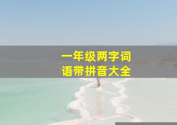 一年级两字词语带拼音大全