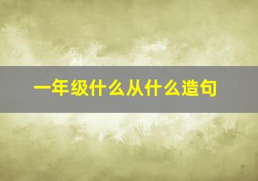 一年级什么从什么造句