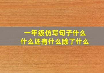 一年级仿写句子什么什么还有什么除了什么