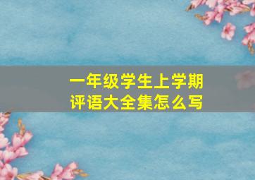 一年级学生上学期评语大全集怎么写