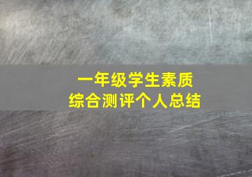 一年级学生素质综合测评个人总结