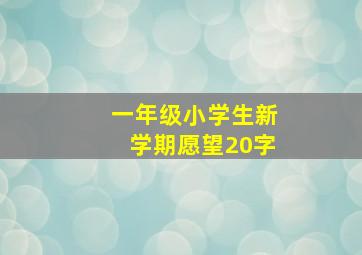 一年级小学生新学期愿望20字