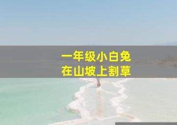 一年级小白兔在山坡上割草