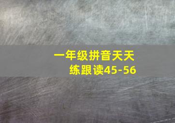 一年级拼音天天练跟读45-56