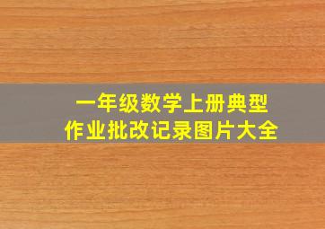 一年级数学上册典型作业批改记录图片大全