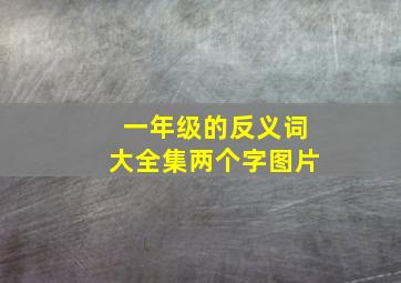 一年级的反义词大全集两个字图片