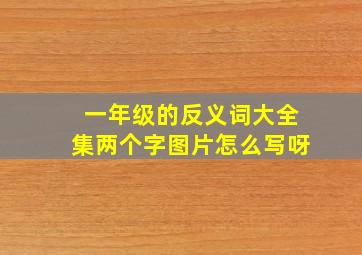 一年级的反义词大全集两个字图片怎么写呀