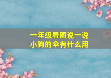 一年级看图说一说小狗的伞有什么用