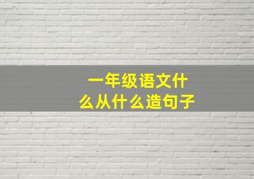 一年级语文什么从什么造句子