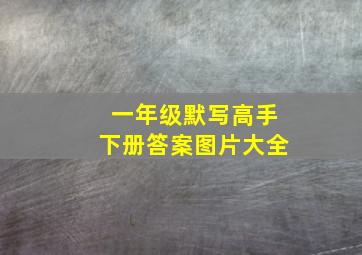 一年级默写高手下册答案图片大全