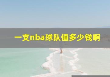 一支nba球队值多少钱啊