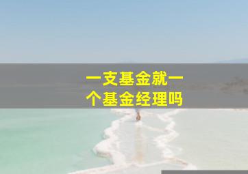 一支基金就一个基金经理吗