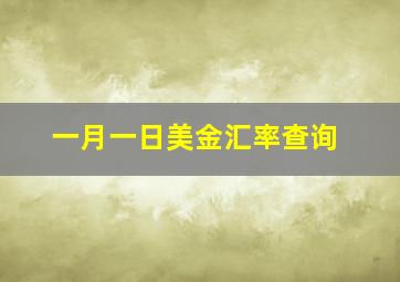 一月一日美金汇率查询