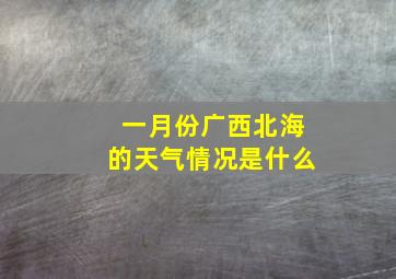 一月份广西北海的天气情况是什么