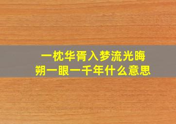 一枕华胥入梦流光晦朔一眼一千年什么意思