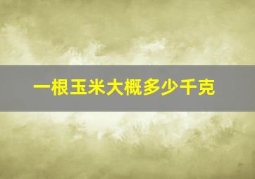 一根玉米大概多少千克