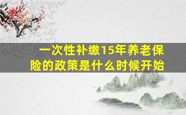 一次性补缴15年养老保险的政策是什么时候开始