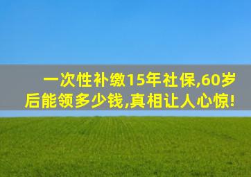 一次性补缴15年社保,60岁后能领多少钱,真相让人心惊!