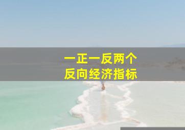 一正一反两个反向经济指标