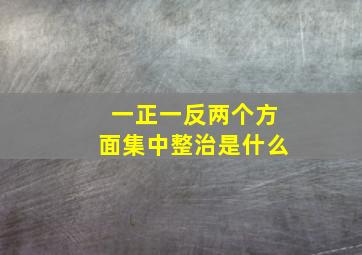 一正一反两个方面集中整治是什么