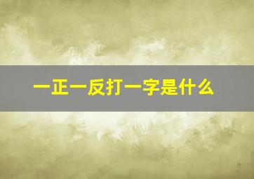 一正一反打一字是什么