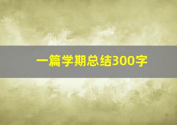 一篇学期总结300字