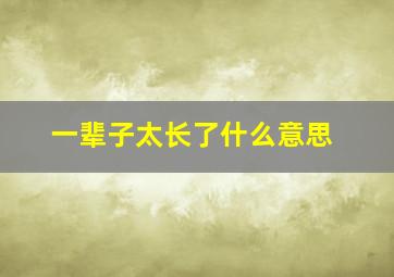 一辈子太长了什么意思