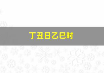 丁丑日乙巳时