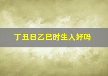 丁丑日乙巳时生人好吗