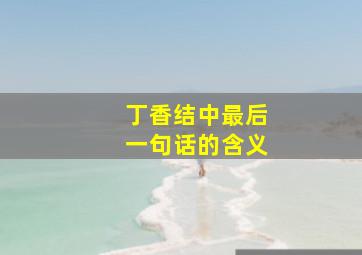 丁香结中最后一句话的含义