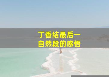 丁香结最后一自然段的感悟