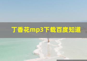 丁香花mp3下载百度知道