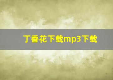 丁香花下载mp3下载