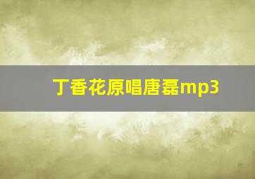 丁香花原唱唐磊mp3