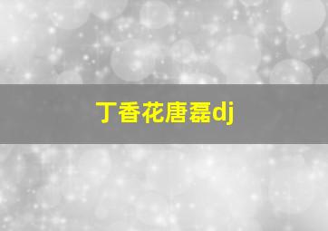 丁香花唐磊dj