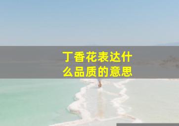 丁香花表达什么品质的意思