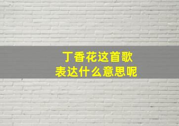 丁香花这首歌表达什么意思呢