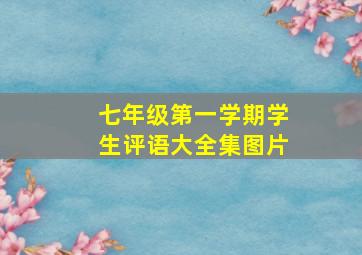 七年级第一学期学生评语大全集图片