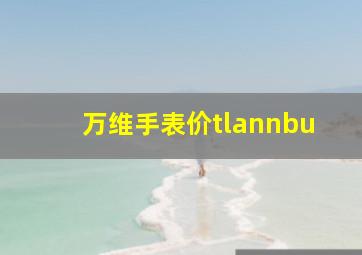 万维手表价tlannbu