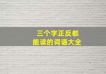 三个字正反都能读的词语大全