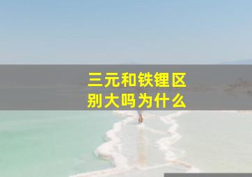 三元和铁锂区别大吗为什么