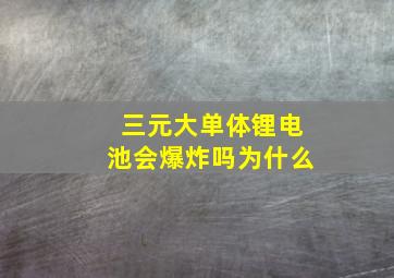 三元大单体锂电池会爆炸吗为什么