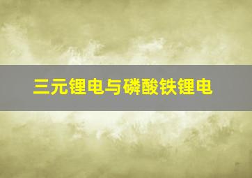 三元锂电与磷酸铁锂电