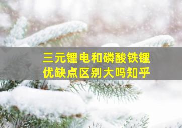 三元锂电和磷酸铁锂优缺点区别大吗知乎