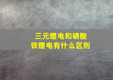 三元锂电和磷酸铁锂电有什么区别