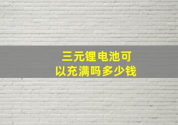 三元锂电池可以充满吗多少钱